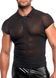 Чоловіче поло Noir Handmade H082 Onyx veil polo M