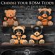 Іграшка плюшевий ведмідь Master Series HOODED Teddy Bear Plush